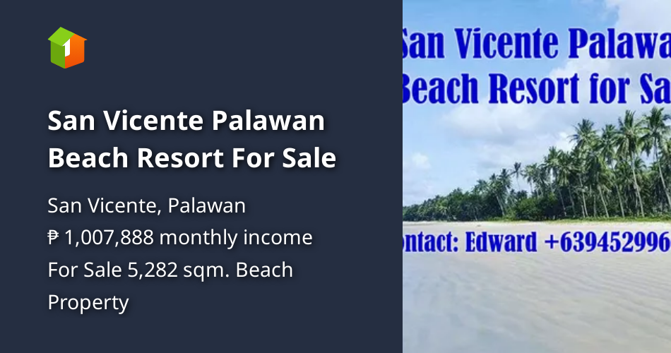 San Vicente Palawan Beach Resort For Sale [Beach Property 🏖️] (February
