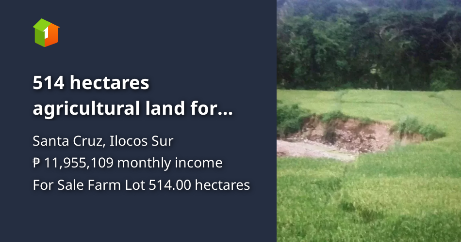 514 hectares agricultural land for sale in Santa Cruz, Ilocos Sur [Lot