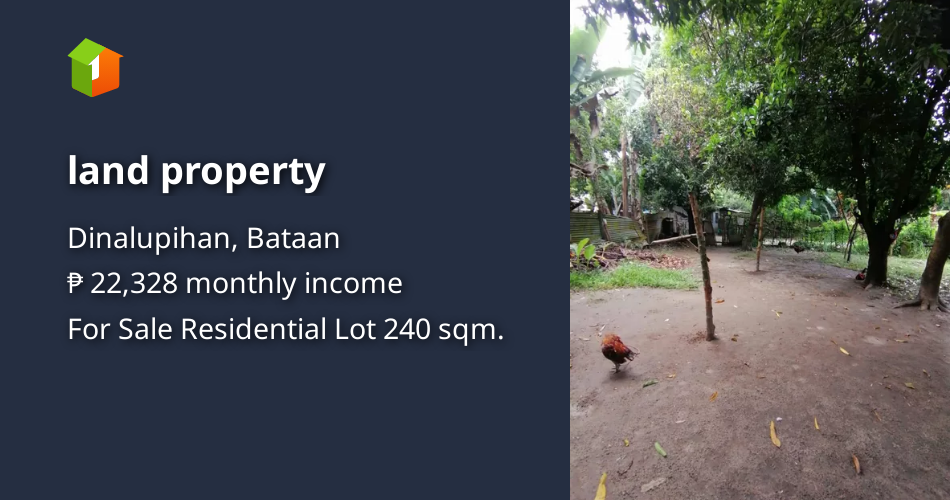 Land property [Lot 🚜] (January 2024) in Dinalupihan, Bataan for sale