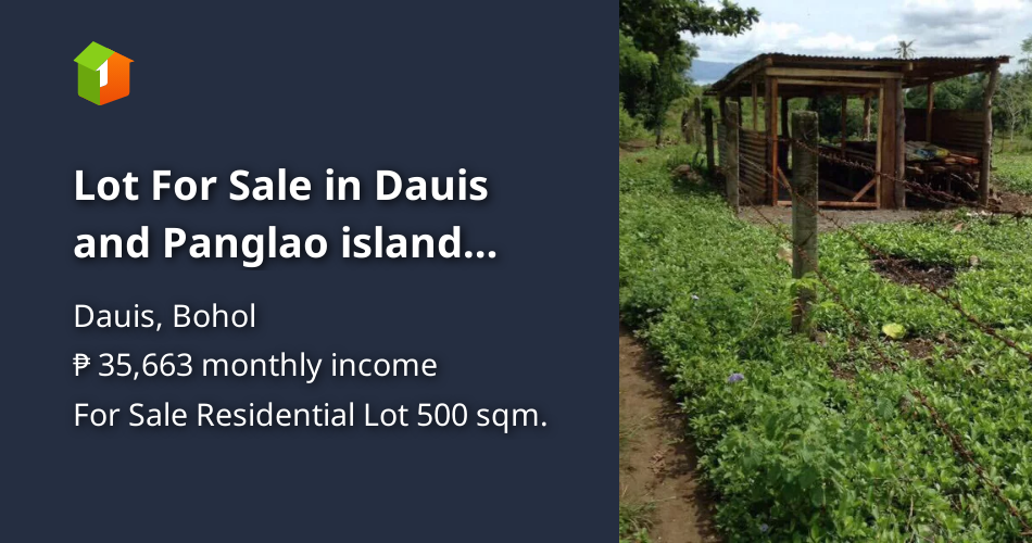 Lot For Sale in Dauis and Panglao island Bohol [Lot 🚜] (October 2022