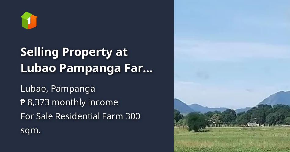 Selling Property at Lubao Pampanga Farm Lot [Lot 🚜] (August 2024) in