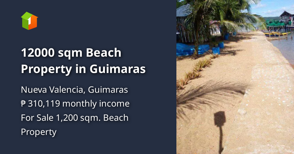 12000 sqm Beach Property in Guimaras [Beach Property 🏖️] (July 2024) in