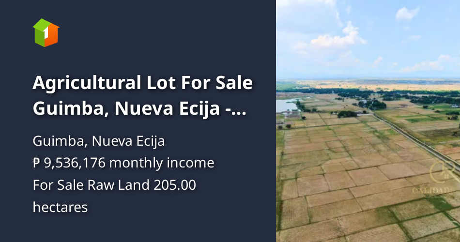 Farm Lot in Guimba, Nueva Ecija CRS0042 [Lot 🚜] (April 2024) in