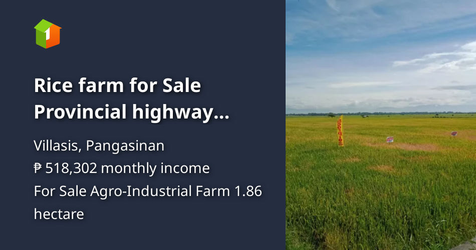 Rice farm for Sale Provincial highway Villasis,Pang. [Lot 🚜] (March 2023) in Villasis