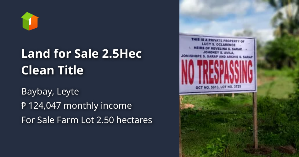 Land for Sale 2.5Hec Clean Title [Lot 🚜] (November 2022) in Baybay