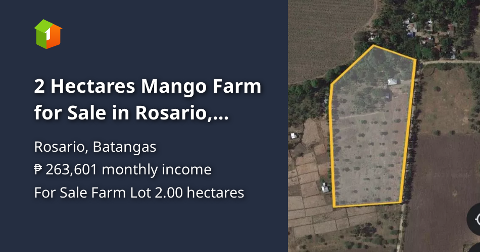 2 Hectares Mango Farm for Sale in Rosario, Batangas [Lot 🚜] (August 2024) in Rosario, Batangas