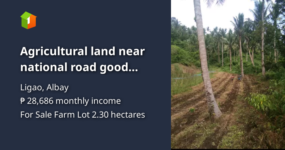 Agricultural land near national road good investment [Lot 🚜] (December