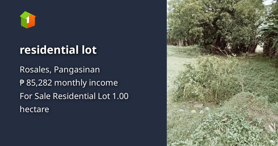 Residential lot [Lot 🚜] (September 2024) in Rosales, Pangasinan for sale