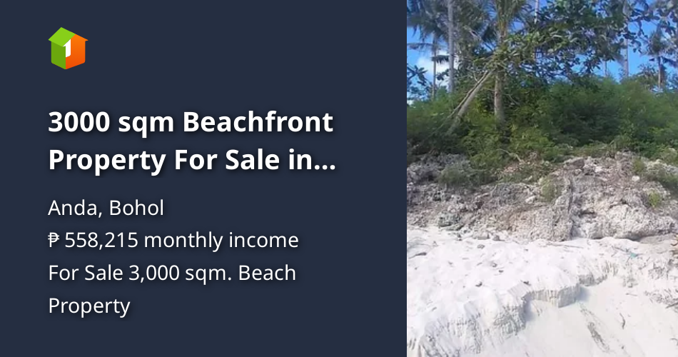 3000 sqm Beachfront Property For Sale in Anda Bohol [Beach Property 🏖️] (August 2024) in Anda