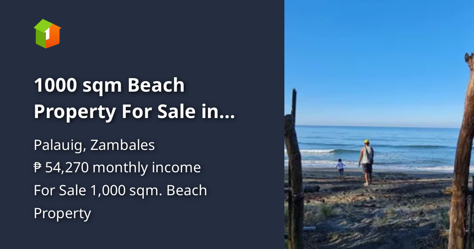 1000 sqm Beach Property For Sale in Palauig Zambales [Beach Property 🏖️