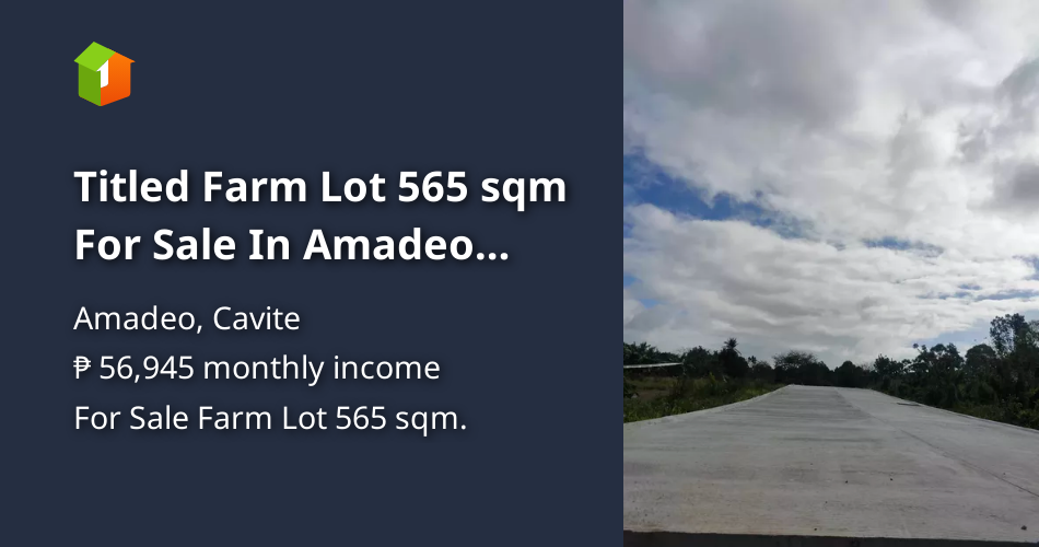 Titled Farm Lot 565 sqm For Sale In Amadeo Cavite [Lots 🚜] (June 2024