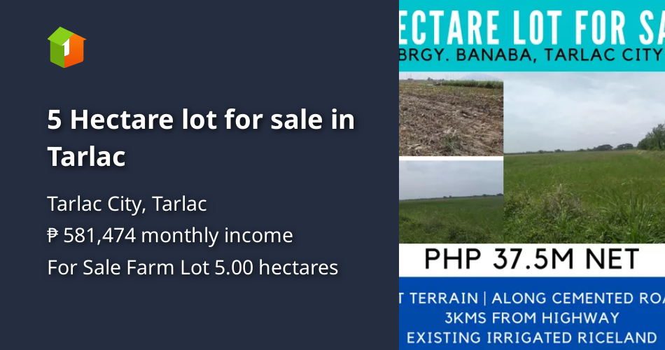 5 Hectare lot for sale in Tarlac [Lot 🚜] (September 2024) in Tarlac