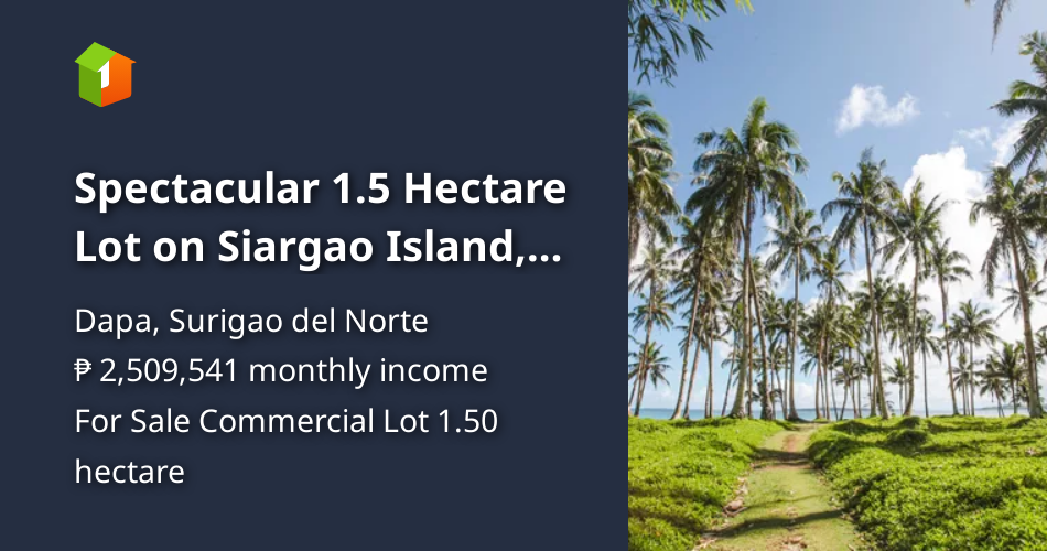 Spectacular 1.5 Hectare Lot on Siargao Island, Philippines [Lot 🚜