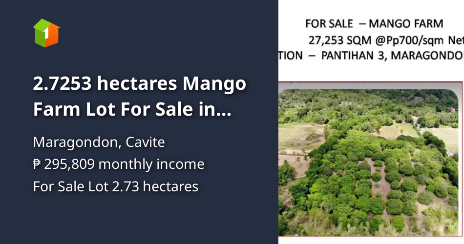 2.7253 hectares Mango Farm Lot For Sale in Maragondon Cavite [Lot 🚜