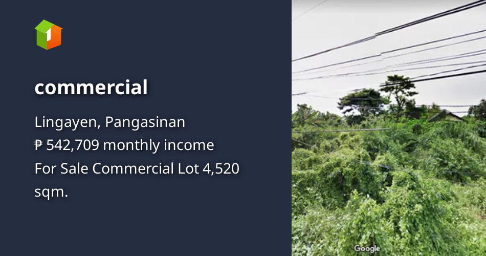 Commercial [Lot 🚜] (July 2024) in Lingayen, Pangasinan for sale