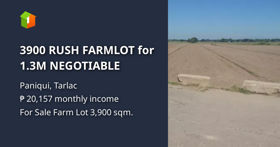 3900 RUSH FARMLOT for 1.3M NEGOTIABLE [Lot 🚜] (December 2023) in