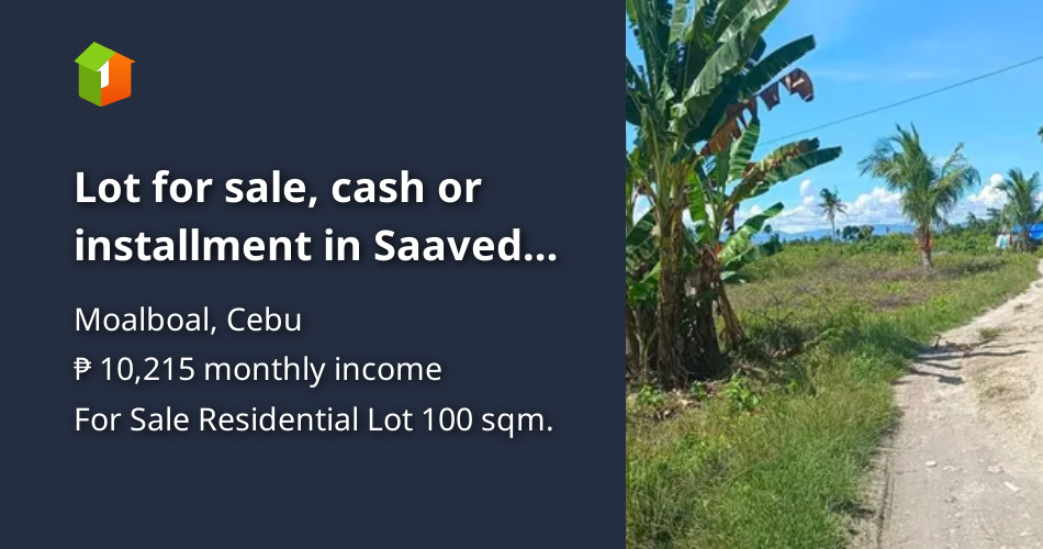 Lot for sale, cash or installment in Saavedra MoalBoal, Cebu [Lot 🚜