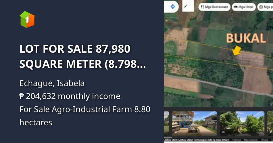 LOT FOR SALE 87,980 SQUARE METER (8.798 HECTARES) ECHAGUE ISABELA [Lot