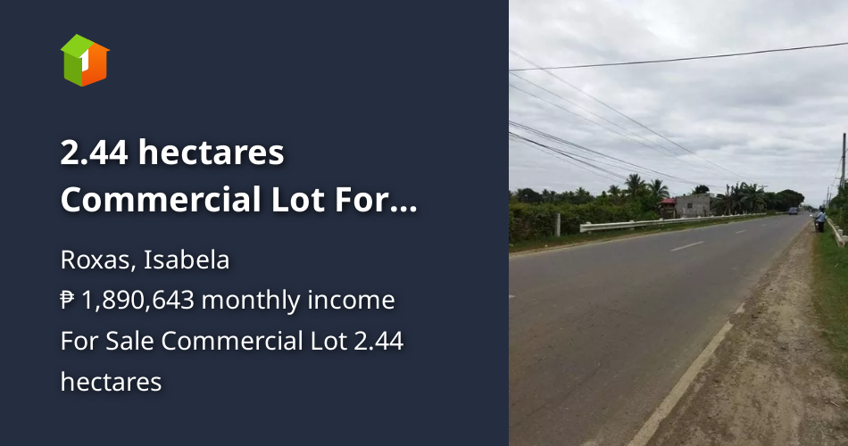2.44 hectares Commercial Lot For Sale in Roxas Isabela [Lot 🚜