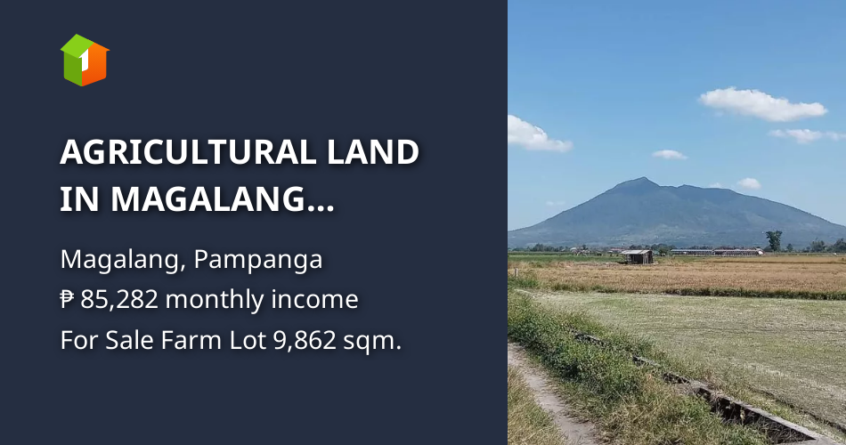 AGRICULTURAL LAND IN MAGALANG PAMPANGA NEAR ANGELES CITY FLYING CLUB