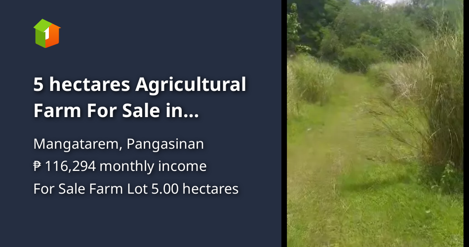 5 hectares Agricultural Farm For Sale in Mangatarem Pangasinan [Lot 🚜