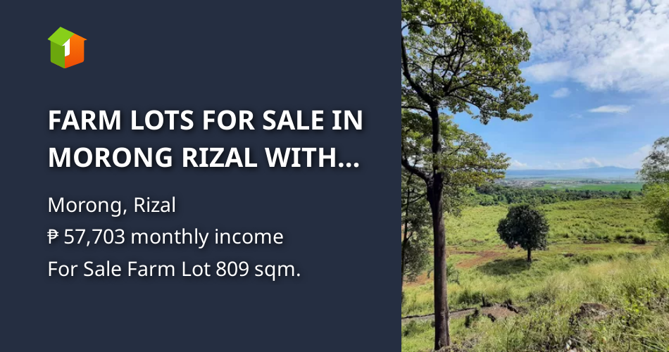 FARM LOTS FOR SALE IN MORONG RIZAL WITH MOUNTAIN VIEW [Lot 🚜] (November