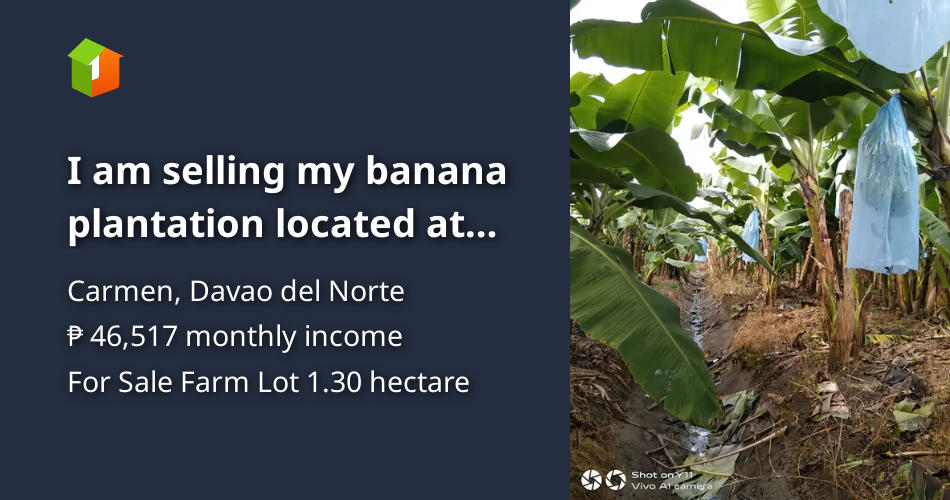 I am selling my banana plantation located at Carmen Davao del norte