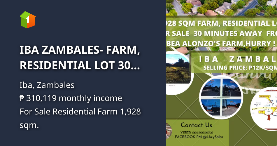IBA ZAMBALES FARM, RESIDENTIAL LOT 30 MINS AWAY FRM BEA ALONZO'S FARM