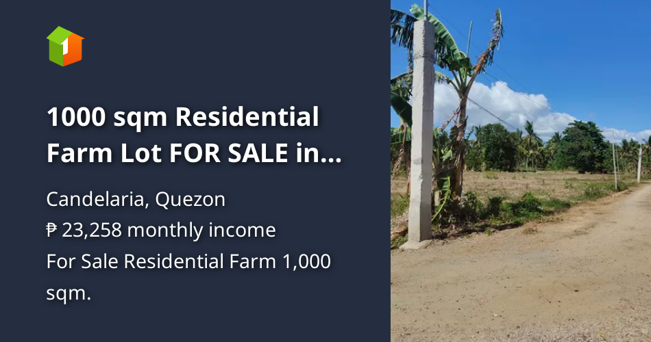 1000 sqm Residential Farm Lot FOR SALE in Candelaria Quezon [Lot 🚜] (September 2024) in