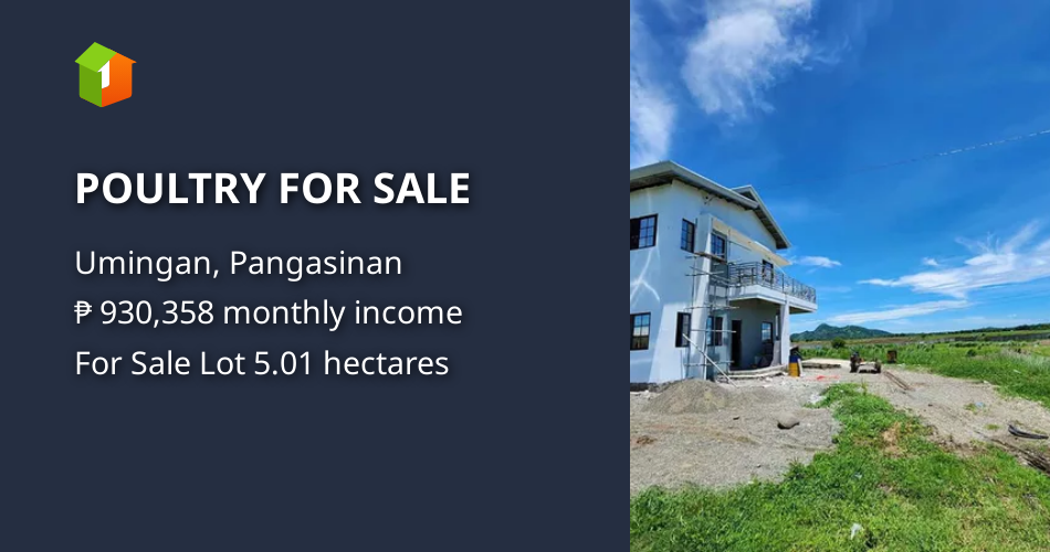 POULTRY FOR SALE [Lot 🚜] (August 2024) in Umingan, Pangasinan for sale