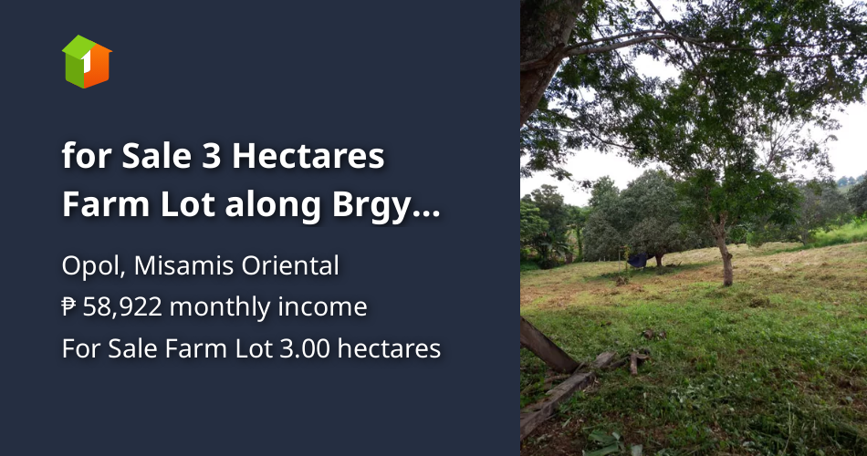 For Sale 3 Hectares Farm Lot along Brgy Road in Opol Misamis Oriental