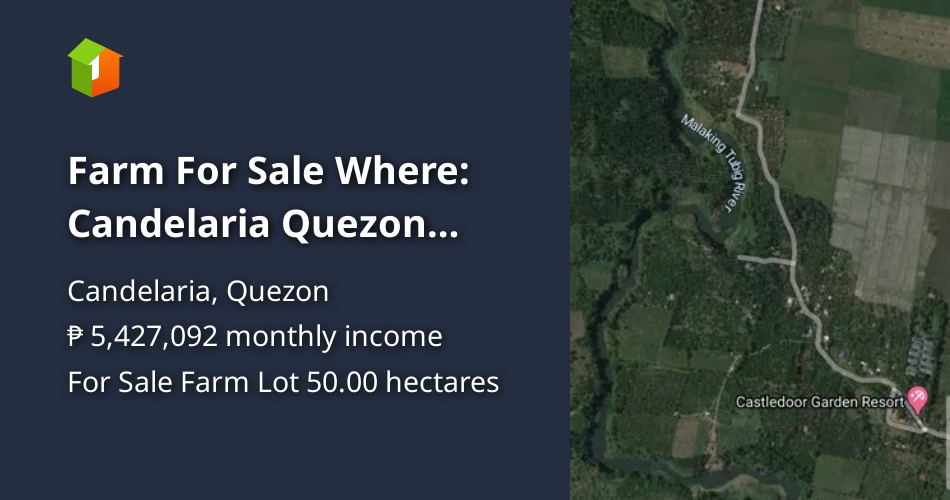 Farm For Sale Where Candelaria Quezon Area 50 has Price 700p [Lot 🚜