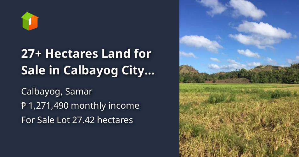 27+ Hectares Land for Sale in Calbayog City Samar [Lot 🚜] (May 2023) in