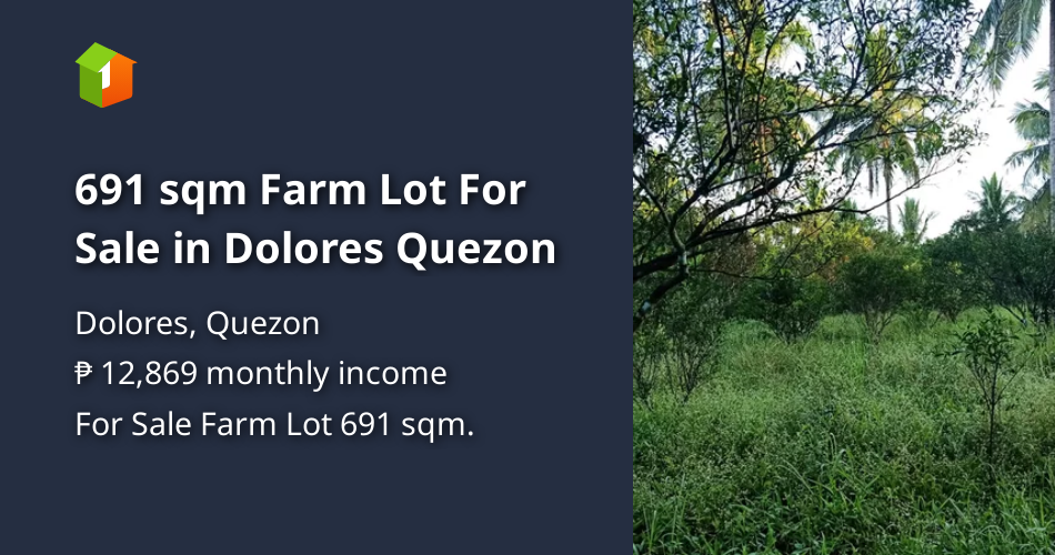 691 sqm Farm Lot For Sale in Dolores Quezon [Lot 🚜] (January 2023) in