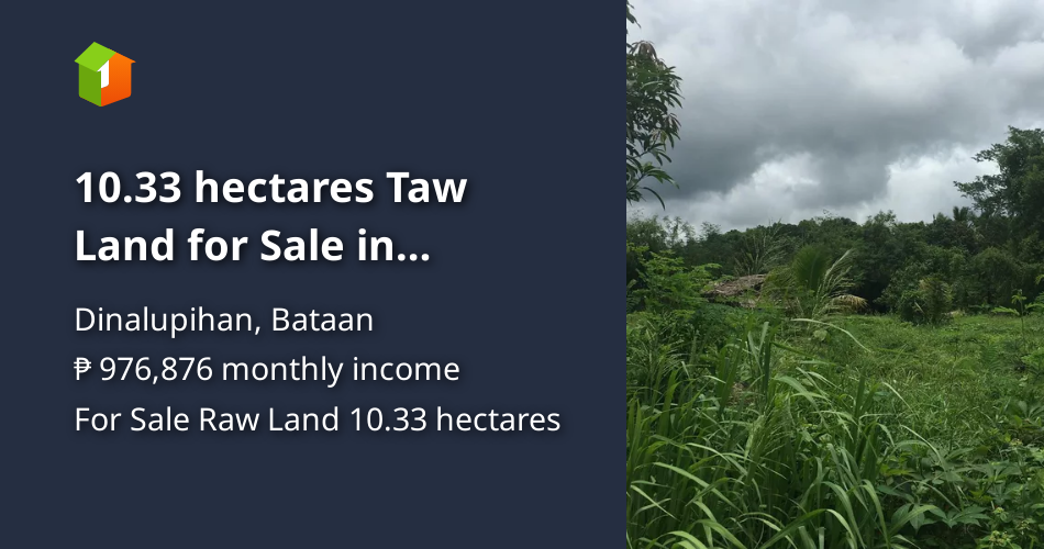 10.33 hectares Taw Land for Sale in Dinalupihan, Bataan [Lot 🚜] (May