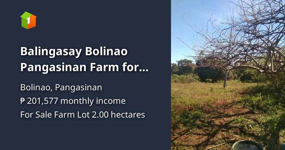 Balingasay Bolinao Pangasinan Farm for sale [Lot 🚜] (December 2020) in