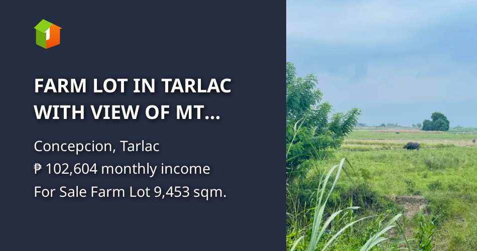 FARM LOT IN TARLAC WITH VIEW OF MT ARAYAT NEAR CONCEPCION SCTEX EXIT