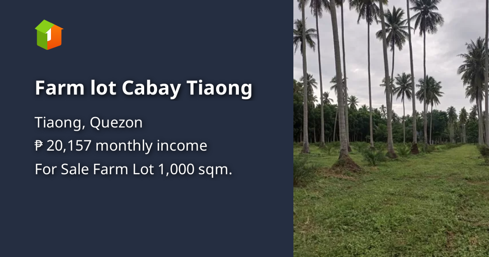 Farm lot Cabay Tiaong [Lot 🚜] (September 2022) in Tiaong, Quezon for sale