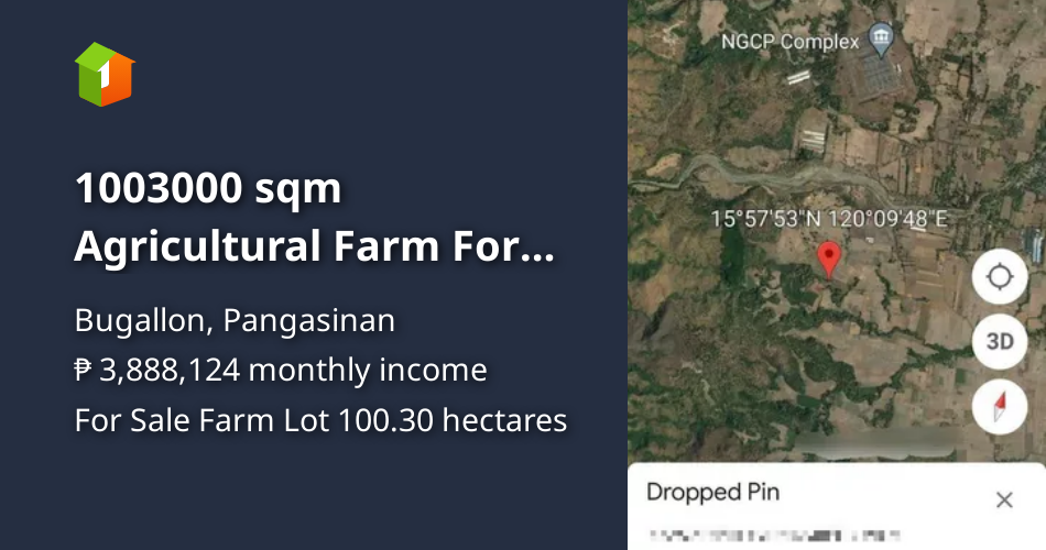 1003000 sqm Agricultural Farm For Sale in Bugallon Pangasinan [Lot 🚜] (August 2024) in Bugallon
