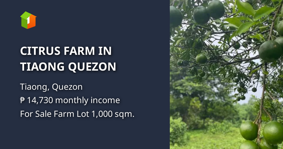 CITRUS FARM IN TIAONG QUEZON [Lot 🚜] (October 2022) in Tiaong, Quezon