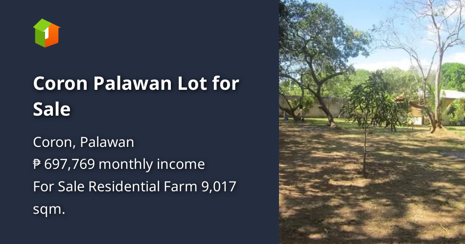 Coron Palawan Lot for Sale [Lot 🚜] (July 2024) in Coron, Palawan for sale