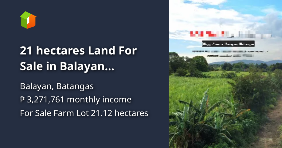 21 hectares Land For Sale in Balayan Batangas CLEAN TITLE Negotiable