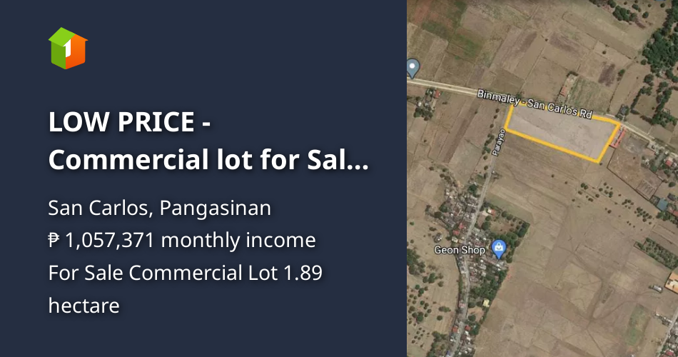 LOW PRICE Commercial lot for Sale in San Carlos Road Pangasinan [Lot