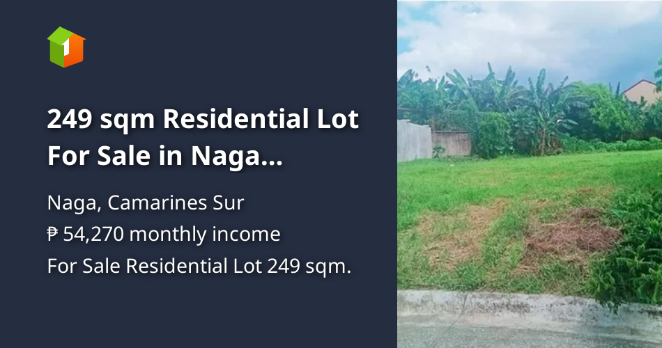 249 sqm Residential Lot For Sale in Naga Camarines Sur [Lot 🚜] (July