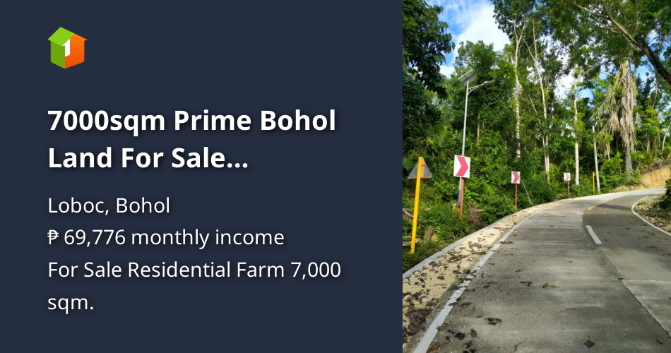 7000sqm Prime Bohol Land For Sale Overlooking Loboc River [Lot 🚜