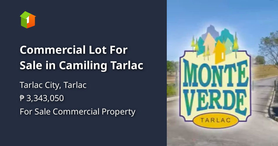Commercial Lot For Sale in Camiling Tarlac Property 🏭