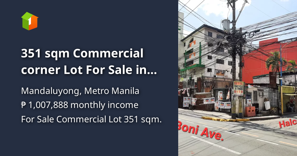 351 sqm Commercial corner Lot For Sale in Mandaluyong Metro Manila [Lot