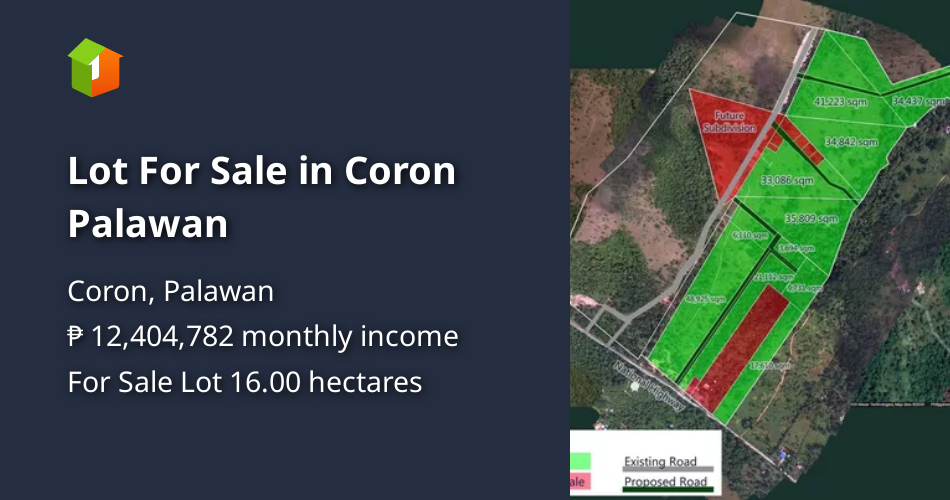 Lot For Sale in Coron Palawan [Lot 🚜] (August 2024) in Coron, Palawan