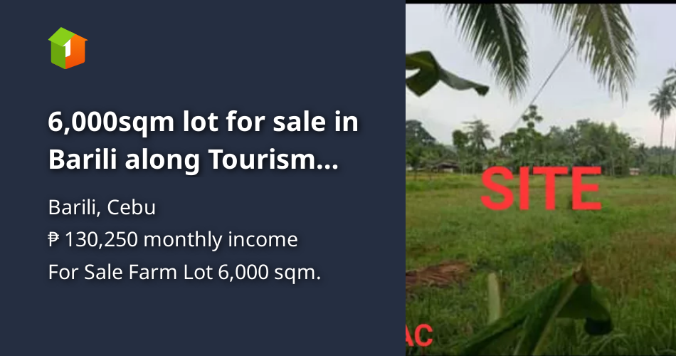 6,000sqm lot for sale in Barili along Tourism highway [Lots 🚜] (August ...