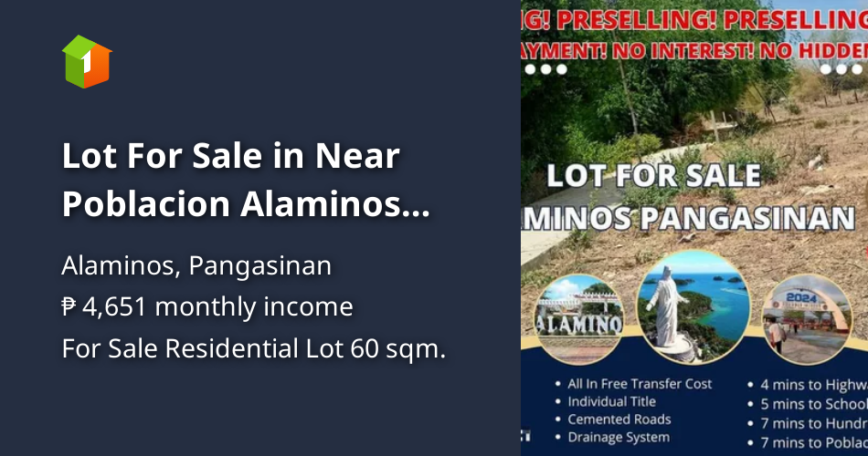 Lot For Sale in Near Poblacion Alaminos Pangasinan 60 sqm Minimum Cut